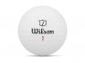 Wilson Staff Model -24