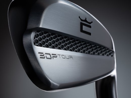 Cobra 3DP Tour - 6 irons (custom)