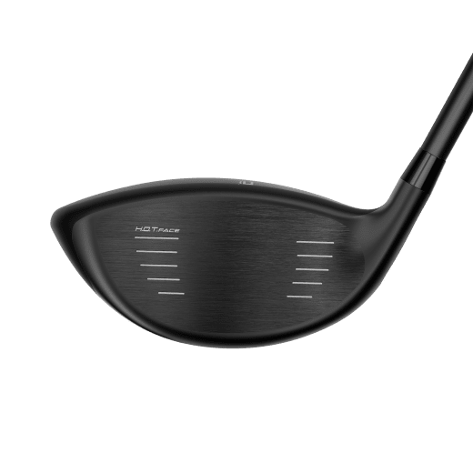 Cobra AIR-X 2024 - Driver (custom)