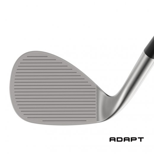 Cleveland RTZ Tour Rack - Wedge (custom)