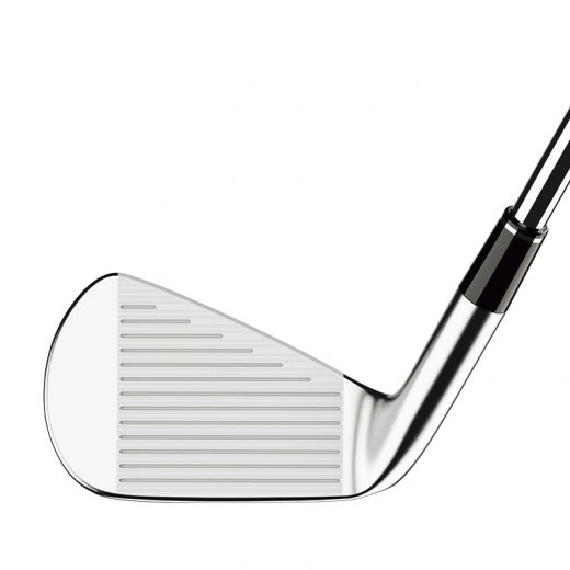 Srixon ZXi5 - 6 irons (custom)