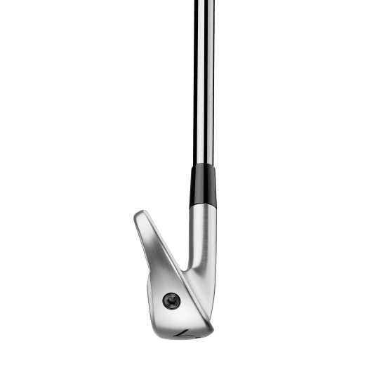 TaylorMade P790 2025 - 6 irons